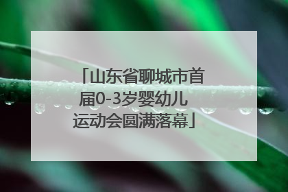 山东省聊城市首届0-3岁婴幼儿运动会圆满落幕