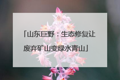 山东巨野：生态修复让废弃矿山变绿水青山