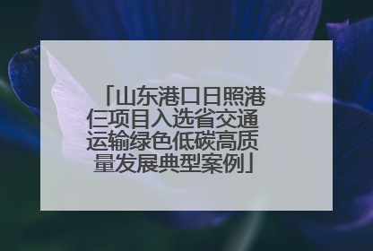 山东港口日照港仨项目入选省交通运输绿色低碳高质量发展典型案例