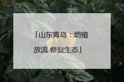 山东青岛：增殖放流 修复生态