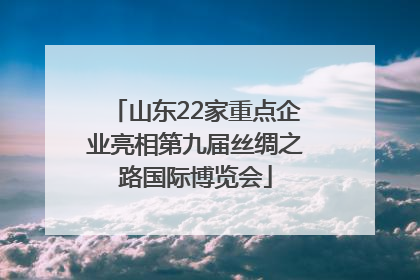 山东22家重点企业亮相第九届丝绸之路国际博览会