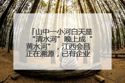 山中一小河白天是“清水河”晚上成“黄水河”，江西会昌正在溯源，已有企业被要求停工