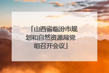 山西省临汾市规划和自然资源局党组召开会议