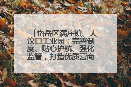 岱岳区满庄镇、大汶口工业园：完善制度、贴心护航、强化监管，打造优质营商“强磁场”