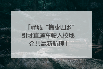 峄城“榴枣归乡”引才直通车驶入校地企共赢新航程