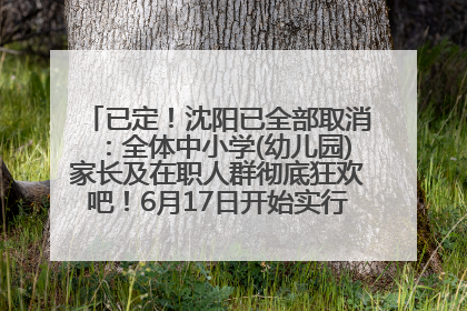 已定！沈阳已全部取消：全体中小学(幼儿园)家长及在职人群彻底狂欢吧！6月17日开始实行！18岁及以上可参加25年学历提升报名！