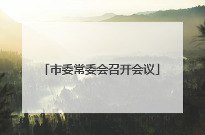 市委常委会召开会议