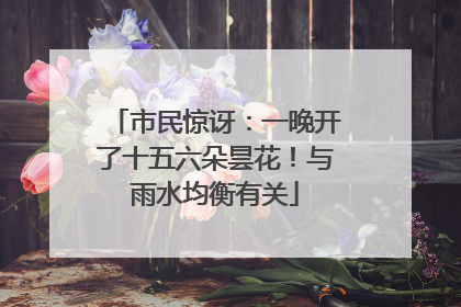 市民惊讶：一晚开了十五六朵昙花！与雨水均衡有关