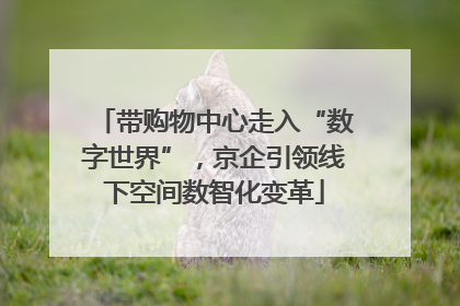 带购物中心走入“数字世界”，京企引领线下空间数智化变革