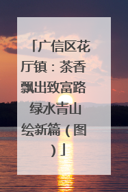 广信区花厅镇：茶香飘出致富路 绿水青山绘新篇（图）