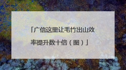 广信这里让毛竹出山效率提升数十倍（图）