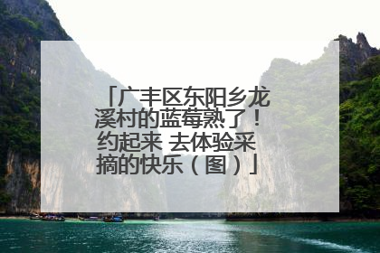 广丰区东阳乡龙溪村的蓝莓熟了！约起来 去体验采摘的快乐（图）