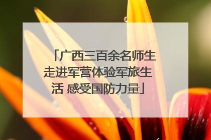 广西三百余名师生走进军营体验军旅生活 感受国防力量