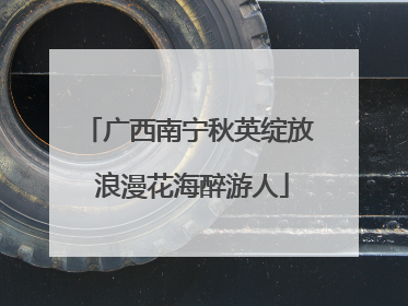 广西南宁秋英绽放 浪漫花海醉游人