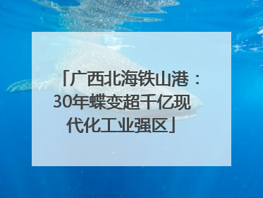 广西北海铁山港：30年蝶变超千亿现代化工业强区