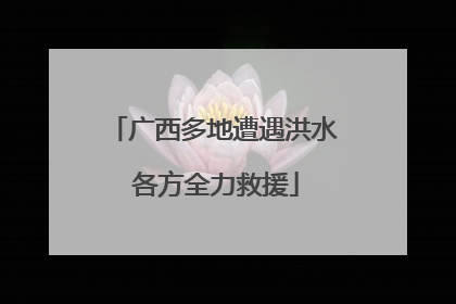 广西多地遭遇洪水 各方全力救援