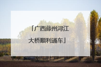 广西藤州浔江大桥顺利通车
