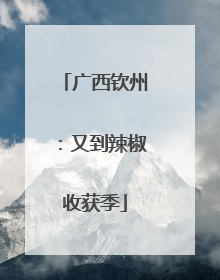广西钦州：又到辣椒收获季