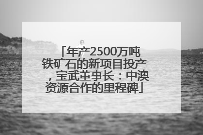 年产2500万吨铁矿石的新项目投产，宝武董事长：中澳资源合作的里程碑