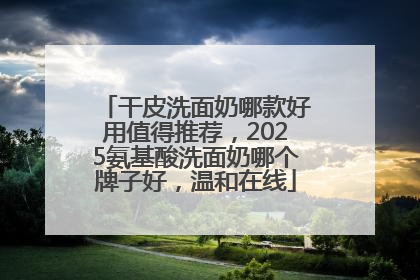 干皮洗面奶哪款好用值得推荐，2025氨基酸洗面奶哪个牌子好，温和在线