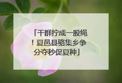 干群拧成一股绳！夏邑县骆集乡争分夺秒促夏种