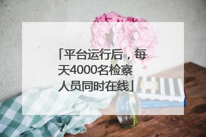平台运行后，每天4000名检察人员同时在线