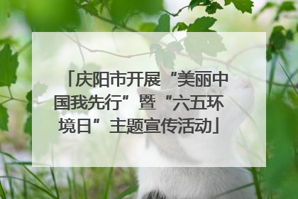 庆阳市开展“美丽中国我先行”暨“六五环境日”主题宣传活动