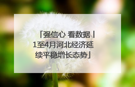 强信心 看数据丨1至4月河北经济延续平稳增长态势