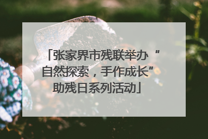 张家界市残联举办“自然探索，手作成长”助残日系列活动