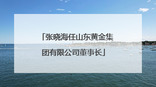 张晓海任山东黄金集团有限公司董事长