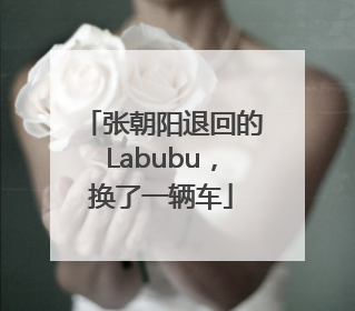 张朝阳退回的Labubu，换了一辆车