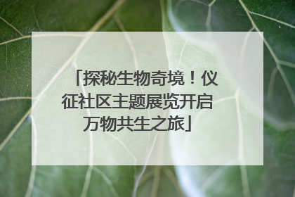 探秘生物奇境！仪征社区主题展览开启万物共生之旅