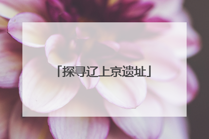 探寻辽上京遗址