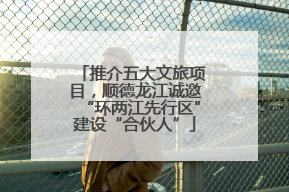推介五大文旅项目，顺德龙江诚邀“环两江先行区”建设“合伙人”