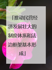 推动民营经济发展壮大的制度体系和法治框架基本形成