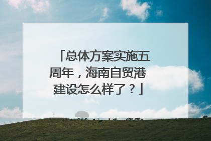 总体方案实施五周年，海南自贸港建设怎么样了？