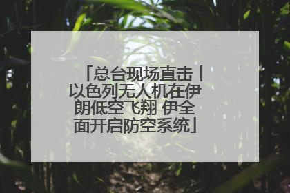 总台现场直击丨以色列无人机在伊朗低空飞翔 伊全面开启防空系统