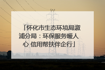 怀化市生态环境局溆浦分局：环保服务暖人心 信用帮扶伴企行