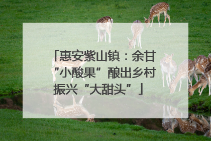 惠安紫山镇：余甘“小酸果”酿出乡村振兴“大甜头”