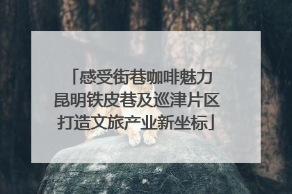 感受街巷咖啡魅力 昆明铁皮巷及巡津片区打造文旅产业新坐标