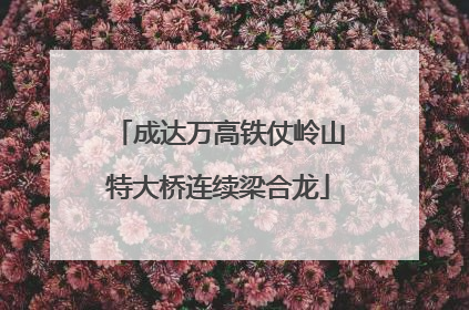 成达万高铁仗岭山特大桥连续梁合龙