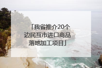 我省推介20个边民互市进口商品落地加工项目