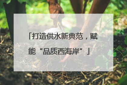 打造供水新典范，赋能“品质西海岸”
