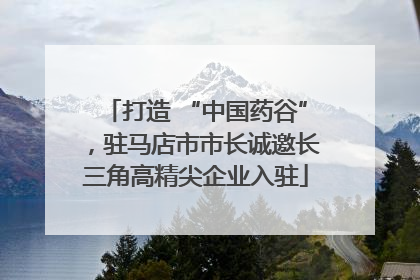 打造 “中国药谷”，驻马店市市长诚邀长三角高精尖企业入驻