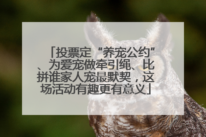 投票定“养宠公约”、为爱宠做牵引绳、比拼谁家人宠最默契，这场活动有趣更有意义