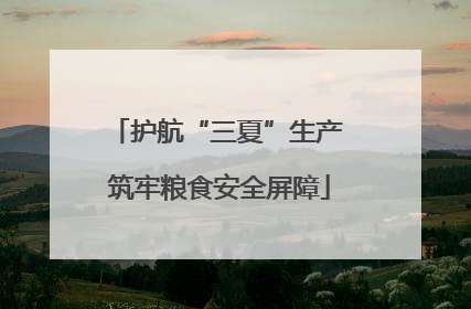护航“三夏”生产 筑牢粮食安全屏障