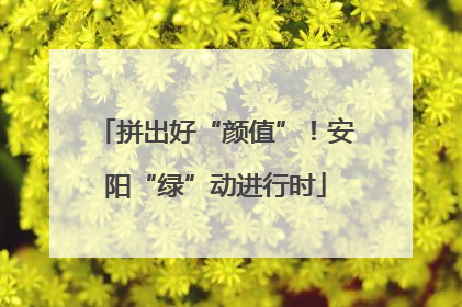 拼出好“颜值”！安阳“绿”动进行时