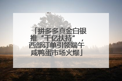 拼多多真金白银推“千亿扶持”，西部订单引领端午咸鸭蛋市场火爆