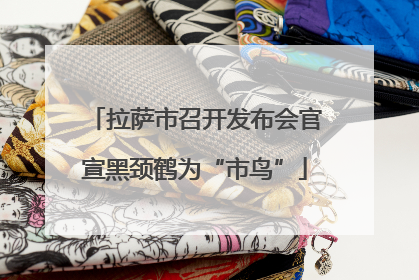 拉萨市召开发布会官宣黑颈鹤为“市鸟”