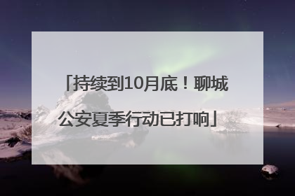 持续到10月底！聊城公安夏季行动已打响